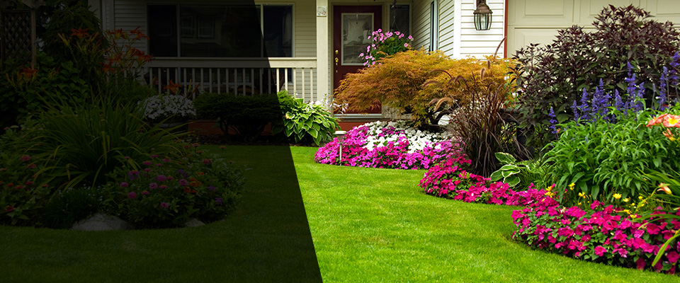 Johns Island Landscapers