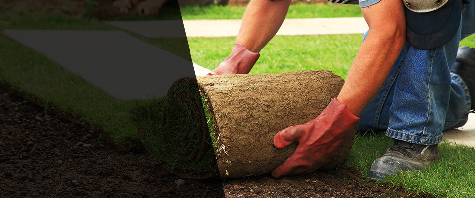Johns Island Landscapers
